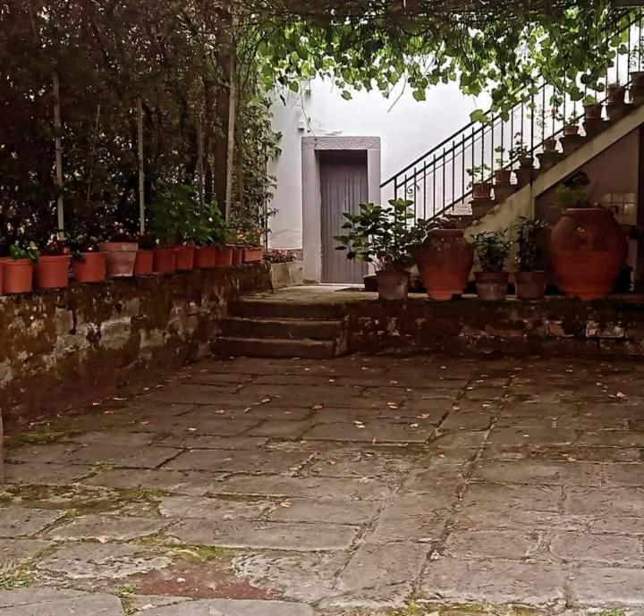 Albergo Del Ponte San Piero in Bagno Buitenkant foto